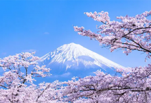 日本高清視頻在線網(wǎng)站推薦，日本片在線看的免費(fèi)網(wǎng)站精選 - 站長(zhǎng)筆記